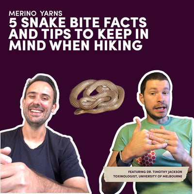 5 Snake Bite Facts and Tips to Keep in Mind When Hiking