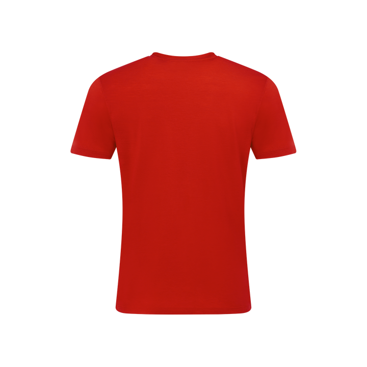 Men's Merino T-Shirt